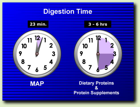 23 minute digestion time for MAP versus 3 to 6 hours for dietary proteins